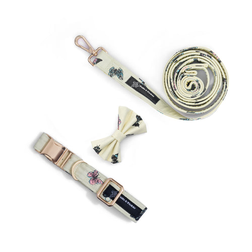 Butterfly Bliss Collar+Leash+Bow