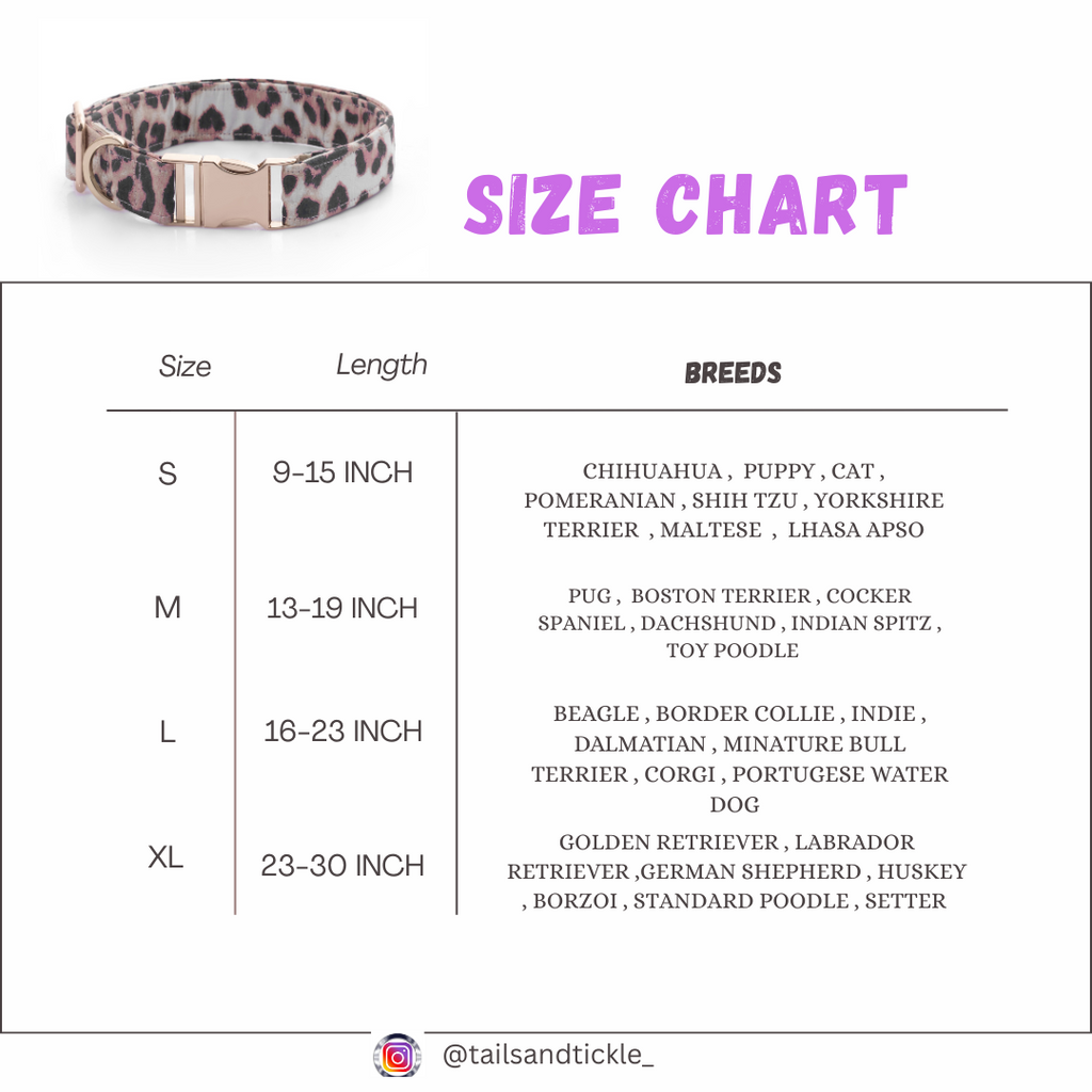 Leopard Print Collar+Leash+Salior Bow