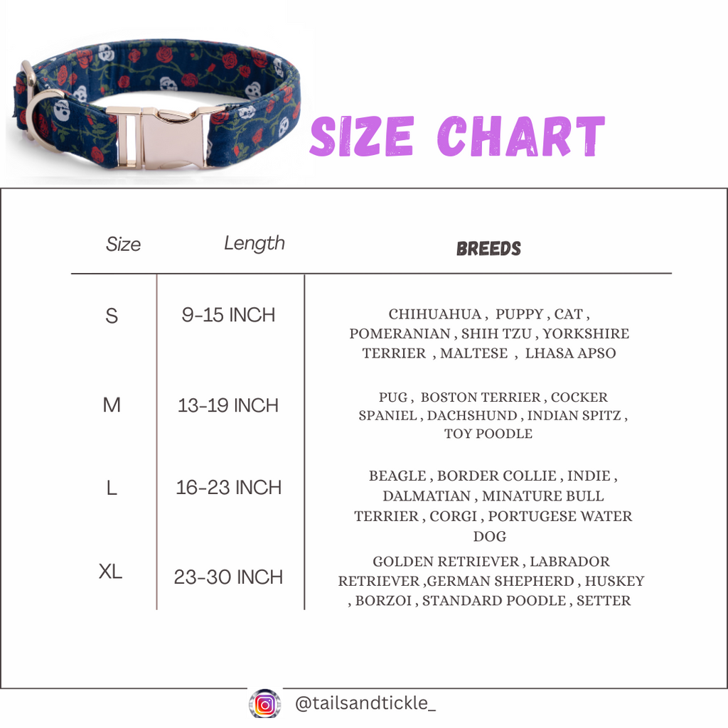 Dark Romance Collar+Leash