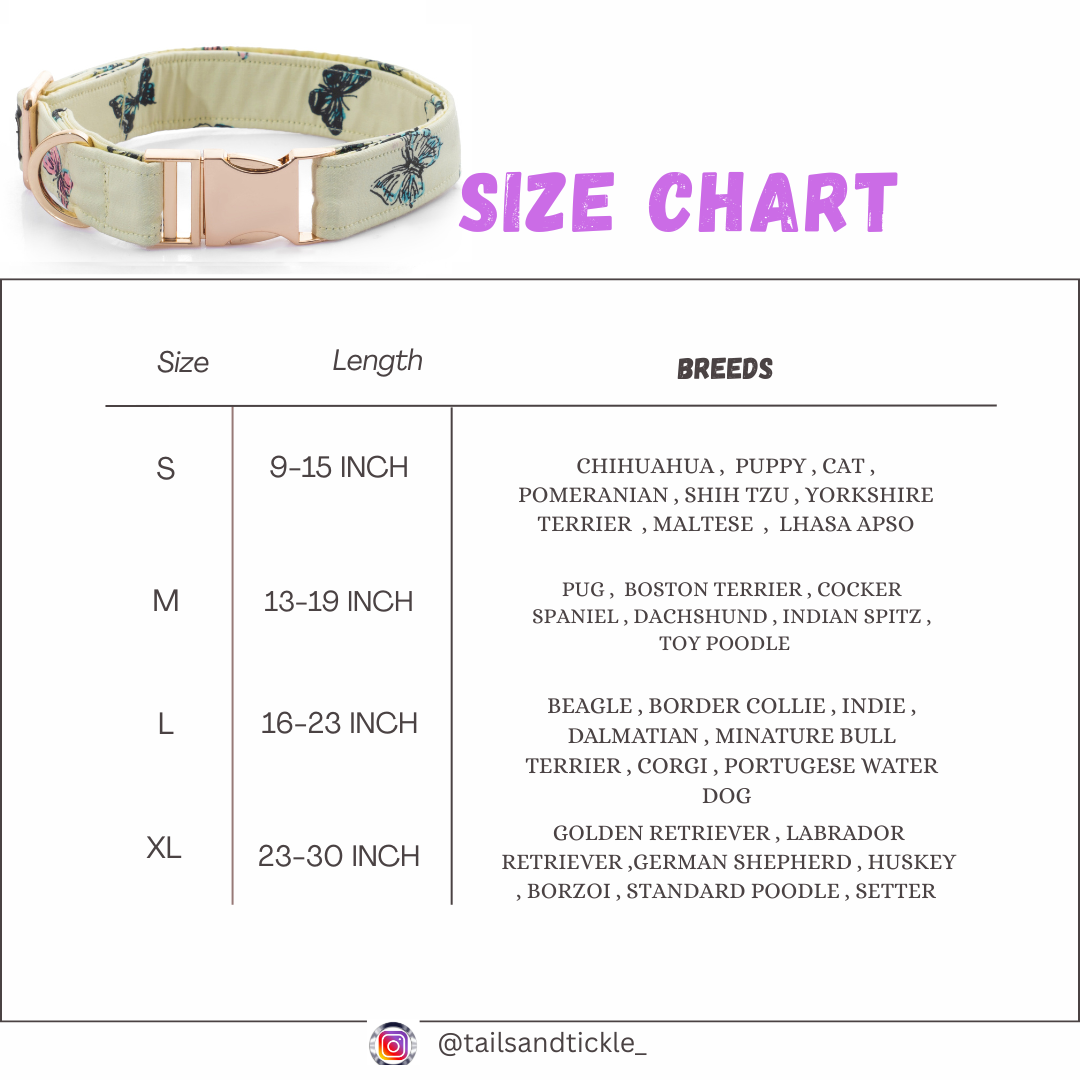 Butterfly Bliss Collar