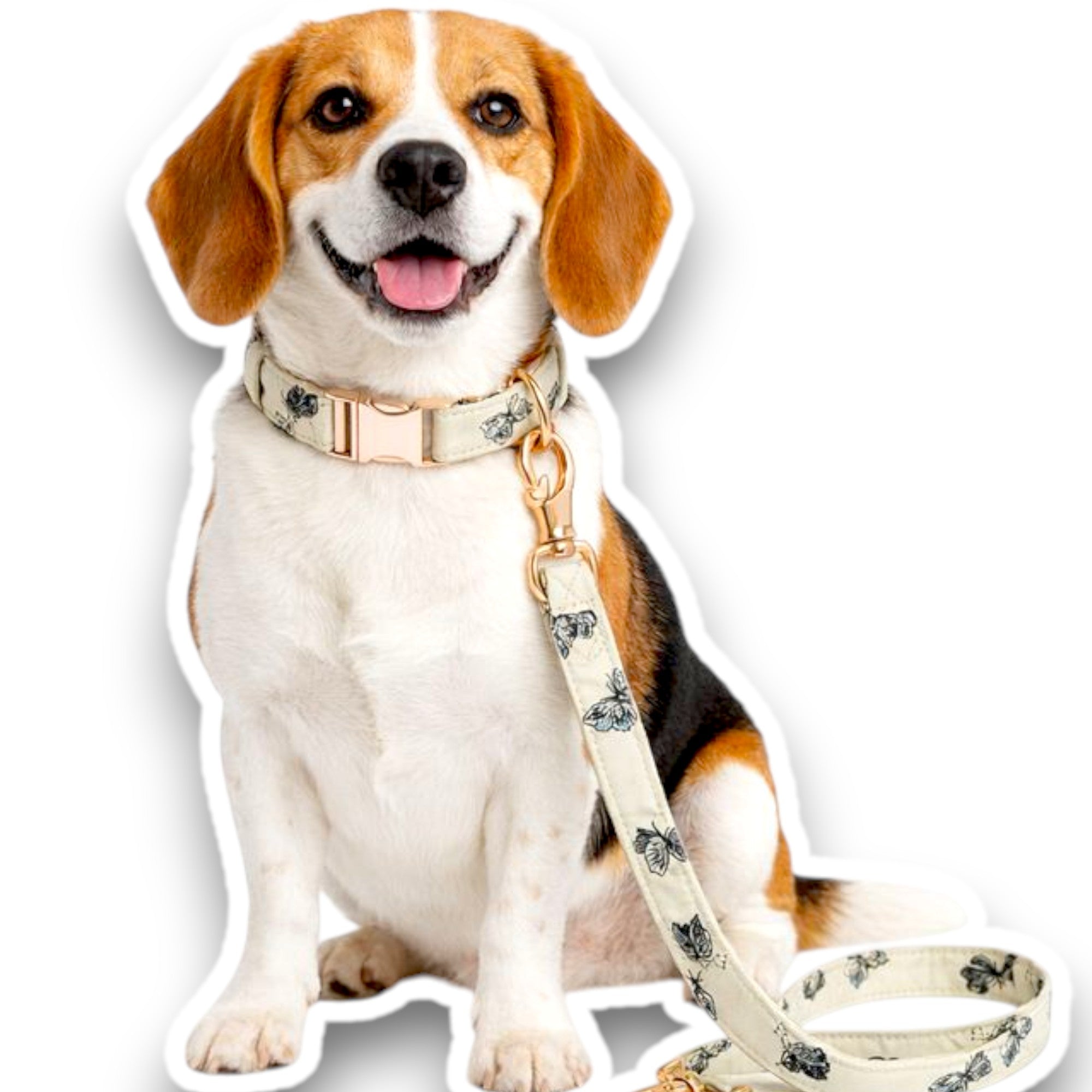 Butterfly Bliss Collar+Leash