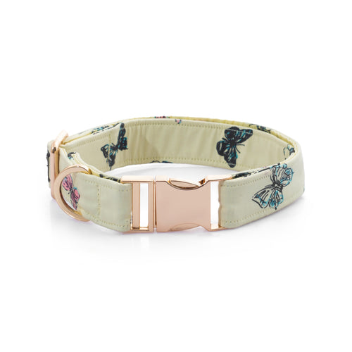 Butterfly Bliss Collar