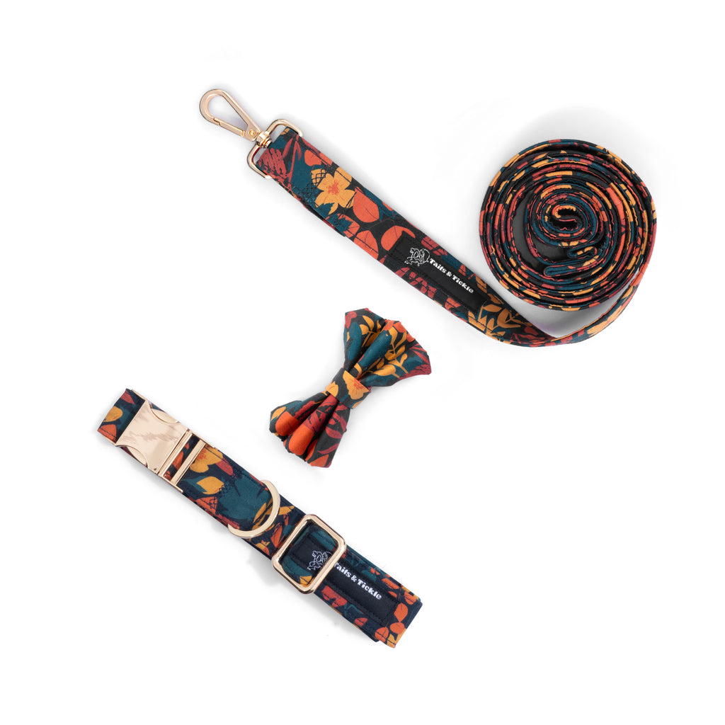 Exotic Bloom Collar+Leash+Bow