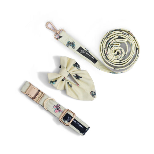Butterfly Bliss Collar+Leash+Salior Bow