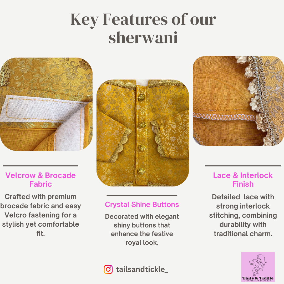 Yellow Sherwani → Golden Sunshine Sherwani 🌞