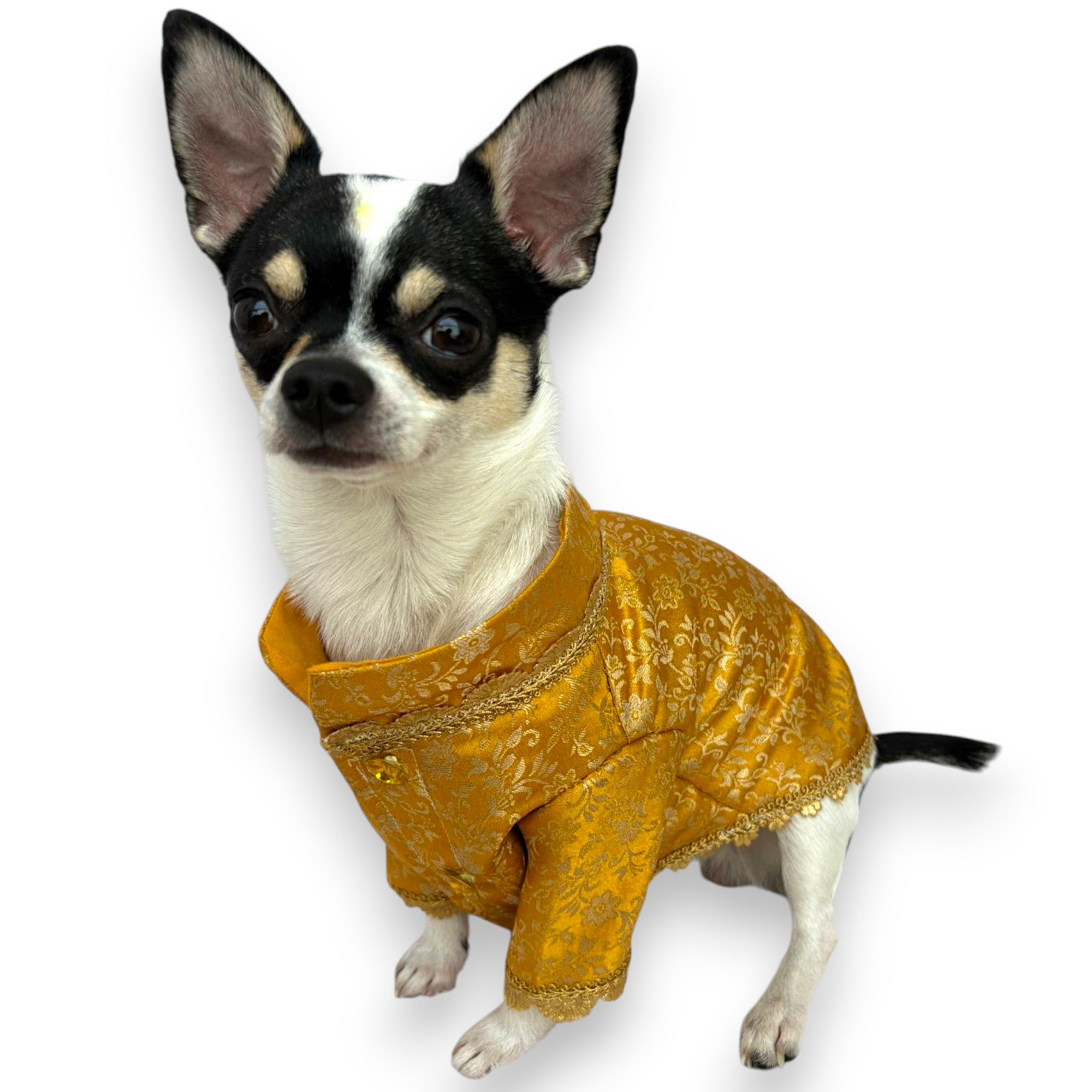 Yellow Sherwani → Golden Sunshine Sherwani 🌞