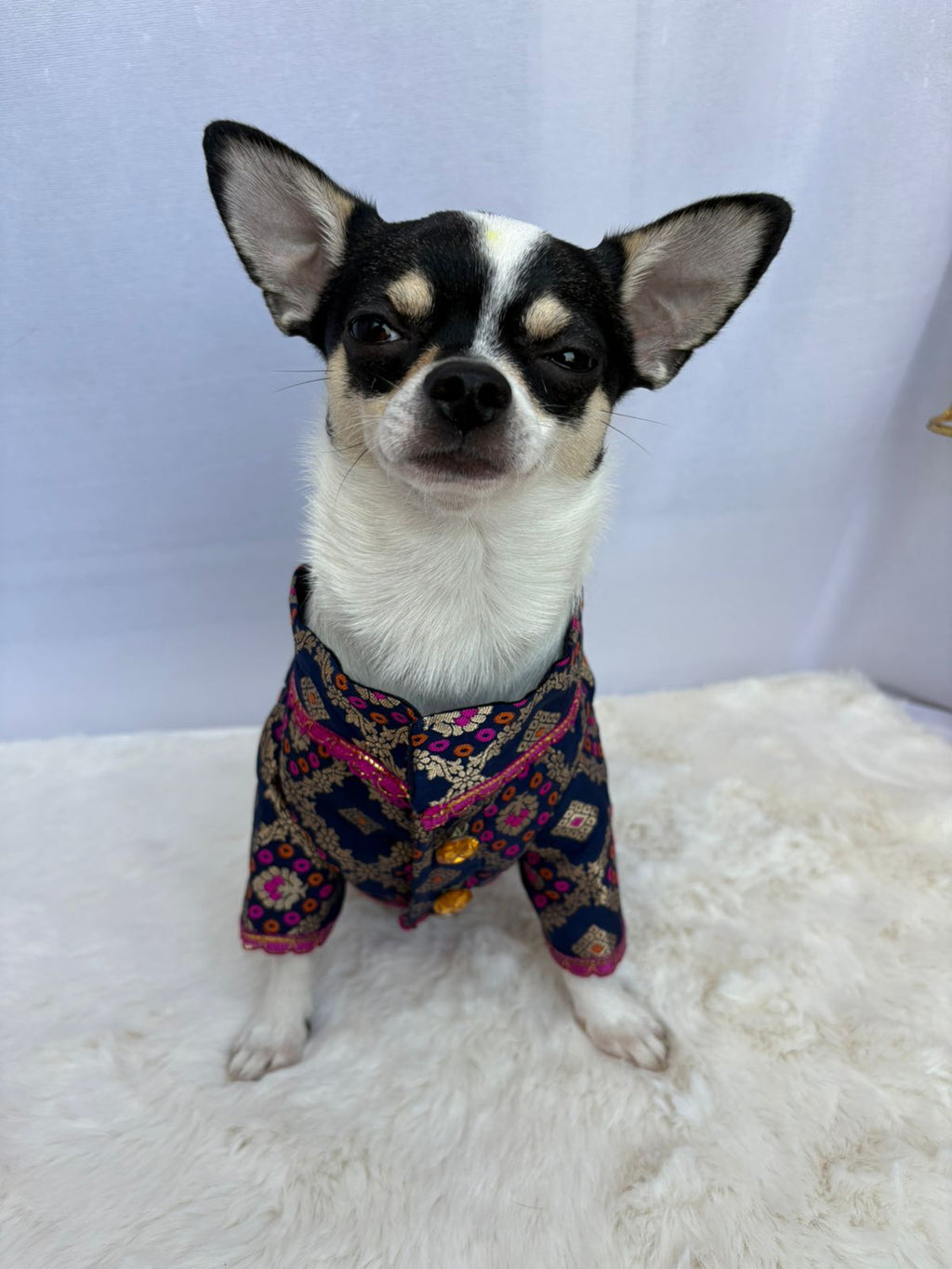 Blue Sherwani → Royal Sapphire Sherwani 💙