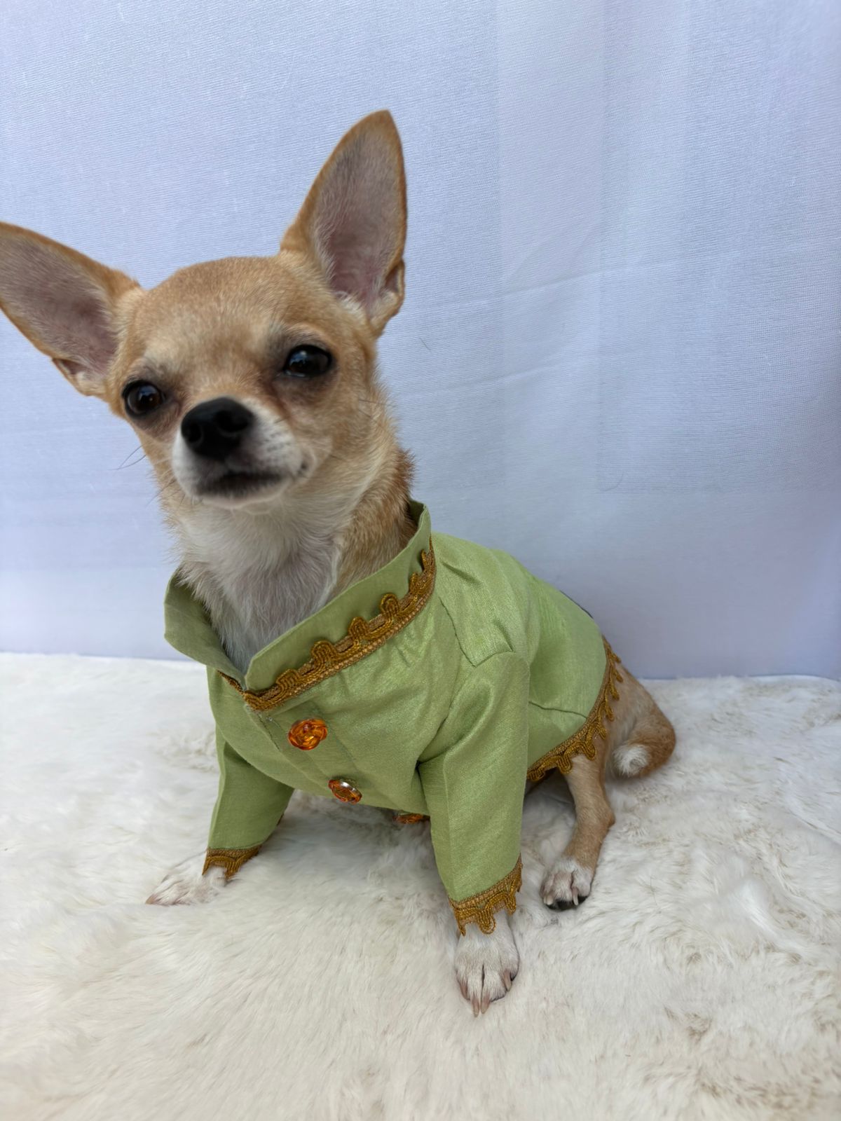 Green Sherwani → Emerald Charm Sherwani 🍃