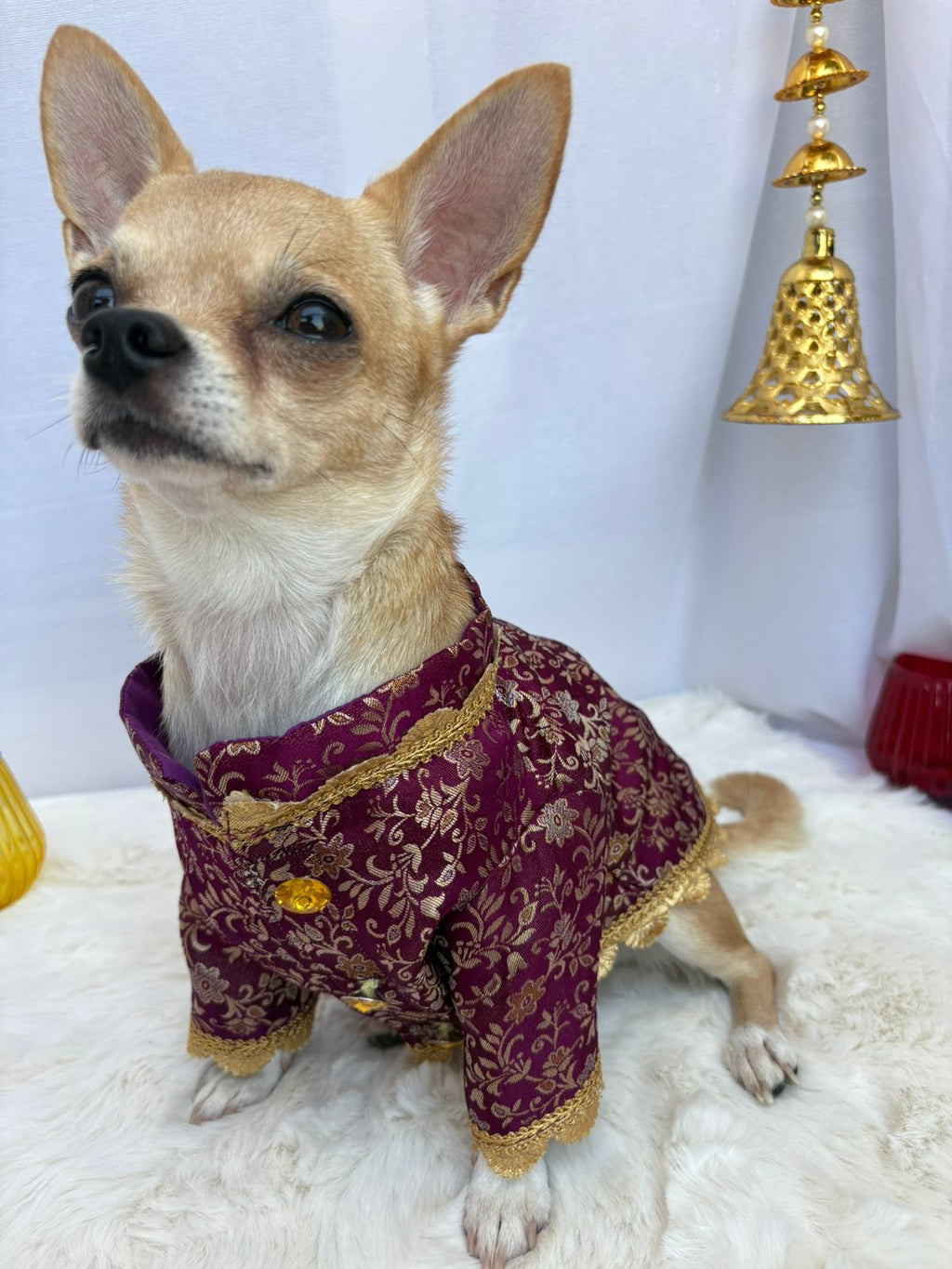 Purple Sherwani → Regal Plum Sherwani 💜