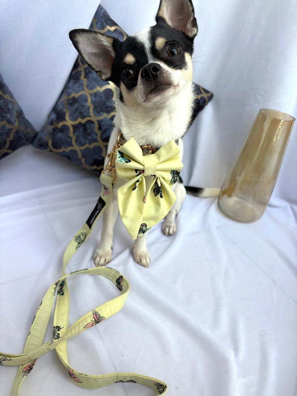 Butterfly Bliss Collar