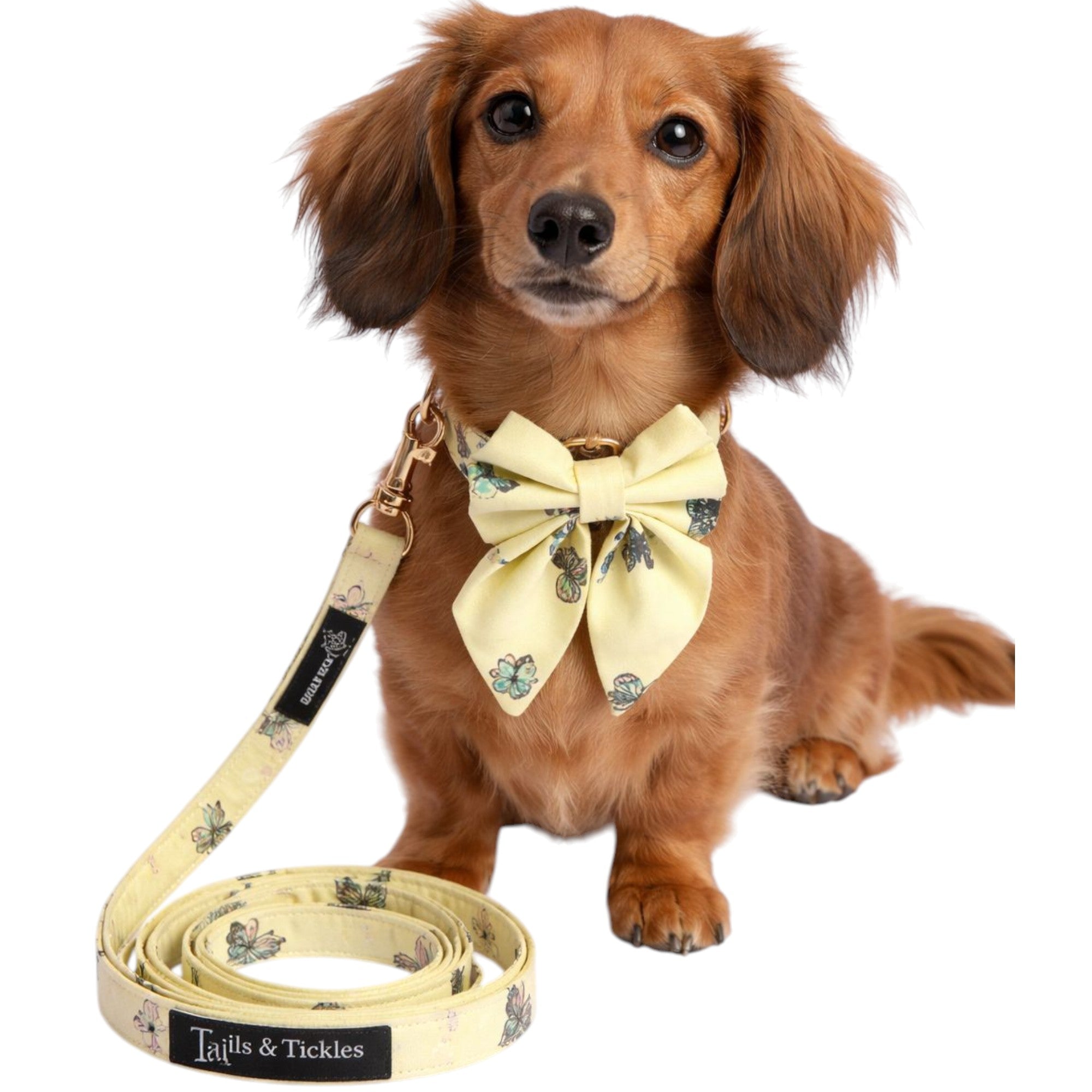 Butterfly Bliss Collar+Leash+Salior Bow
