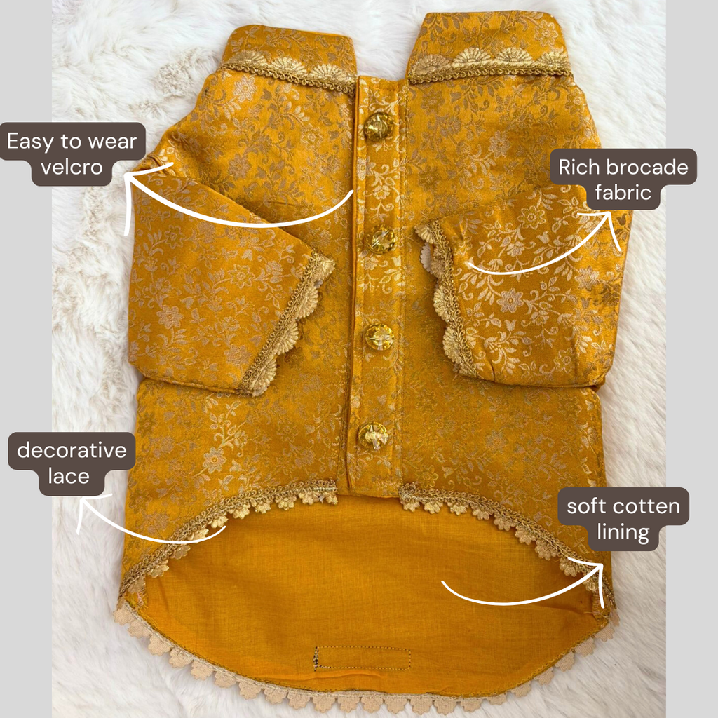 Yellow Sherwani → Golden Sunshine Sherwani 🌞