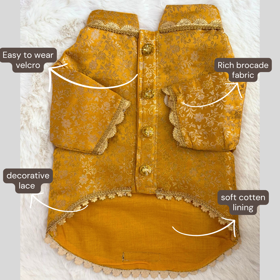 Yellow Sherwani → Golden Sunshine Sherwani 🌞