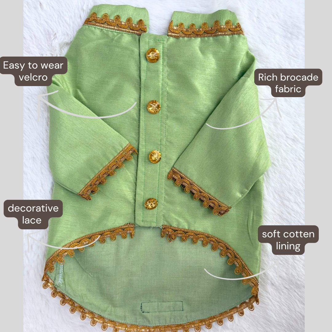 Green Sherwani → Emerald Charm Sherwani 🍃