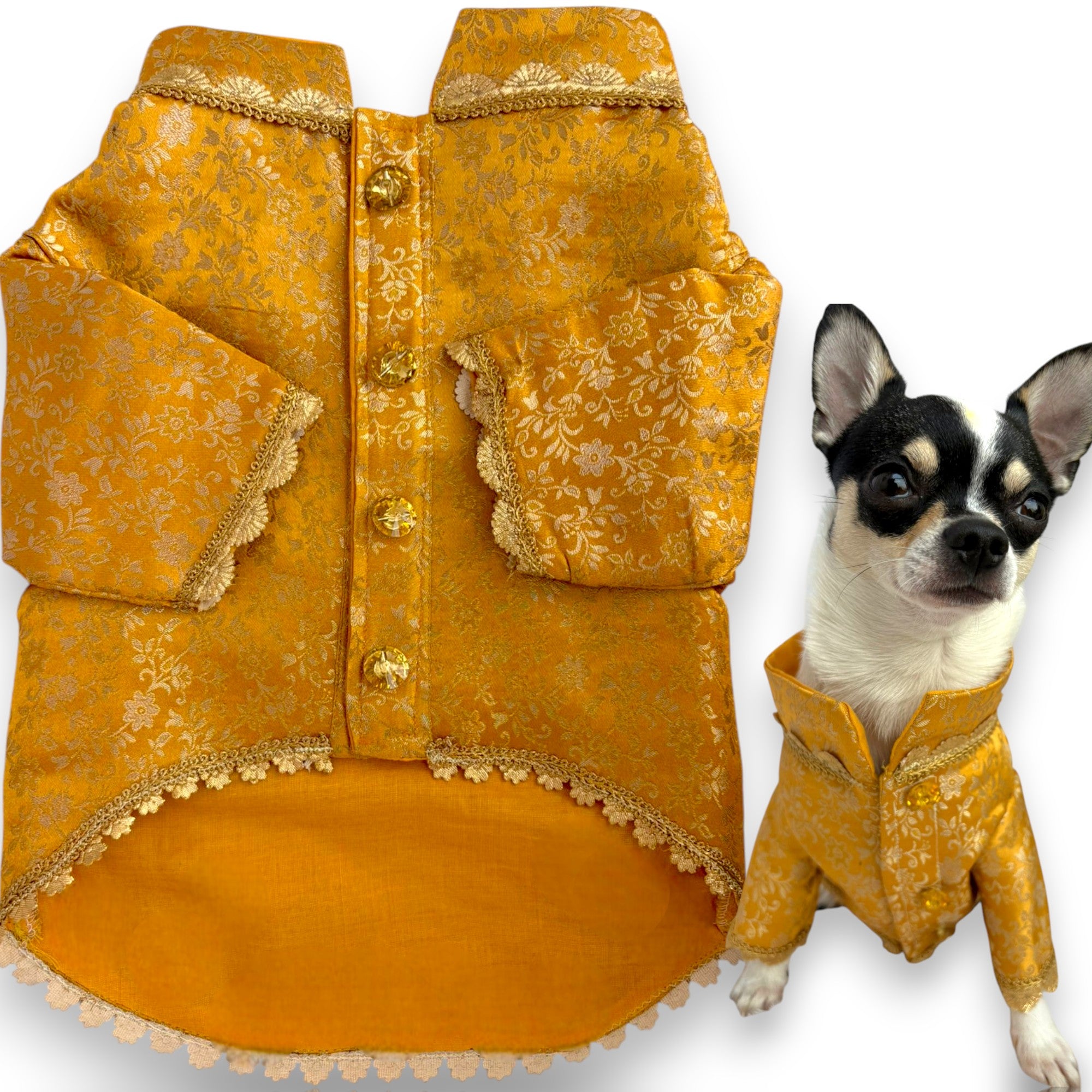 Yellow Sherwani → Golden Sunshine Sherwani 🌞